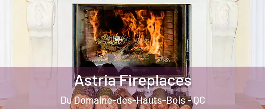  Astria Fireplaces Du Domaine-des-Hauts-Bois - QC