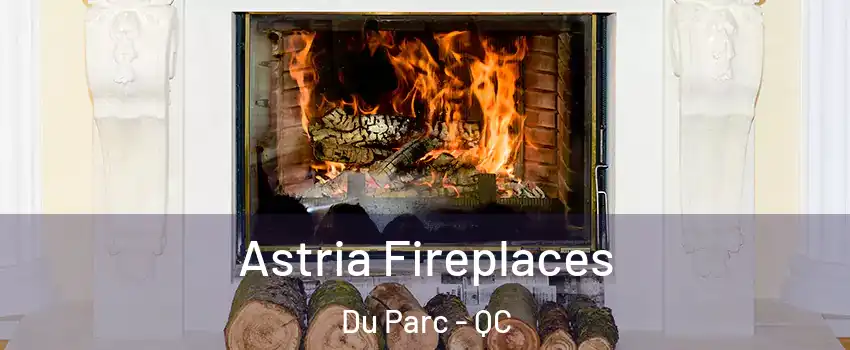  Astria Fireplaces Du Parc - QC