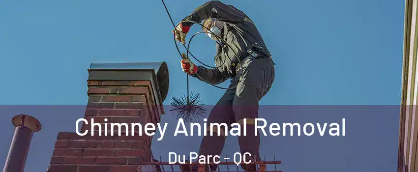  Chimney Animal Removal Du Parc - QC