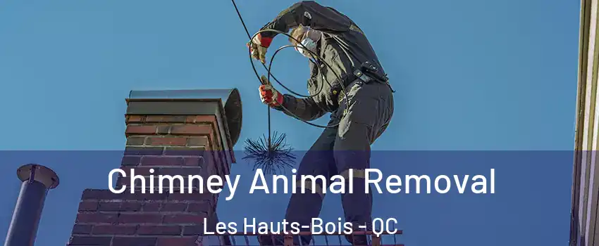  Chimney Animal Removal Les Hauts-Bois - QC
