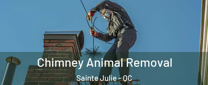  Chimney Animal Removal Sainte Julie - QC