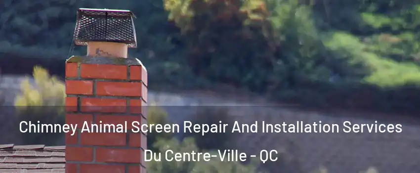  Chimney Animal Screen Repair And Installation Services Du Centre-Ville - QC
