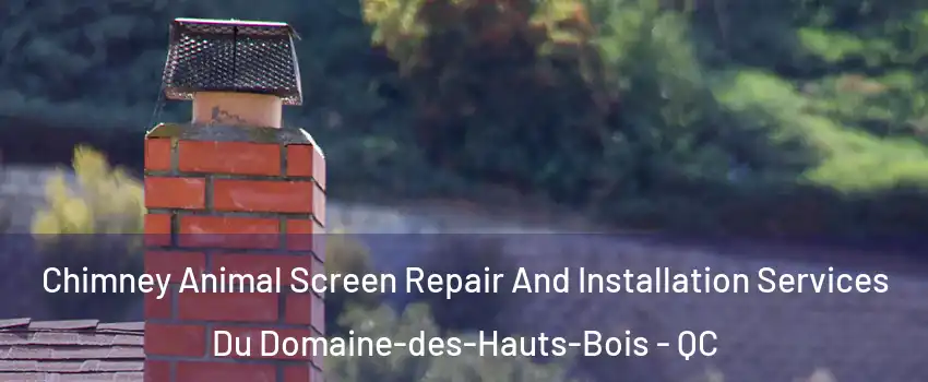  Chimney Animal Screen Repair And Installation Services Du Domaine-des-Hauts-Bois - QC