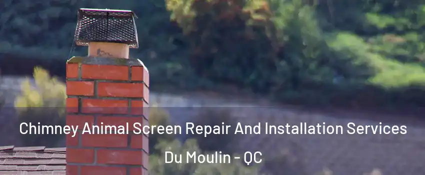 Chimney Animal Screen Repair And Installation Services Du Moulin - QC