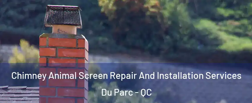  Chimney Animal Screen Repair And Installation Services Du Parc - QC