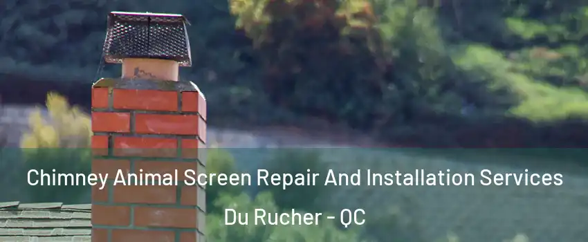  Chimney Animal Screen Repair And Installation Services Du Rucher - QC