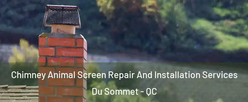  Chimney Animal Screen Repair And Installation Services Du Sommet - QC