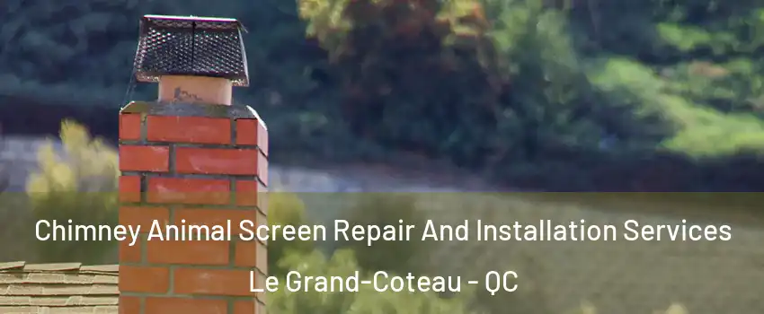  Chimney Animal Screen Repair And Installation Services Le Grand-Coteau - QC