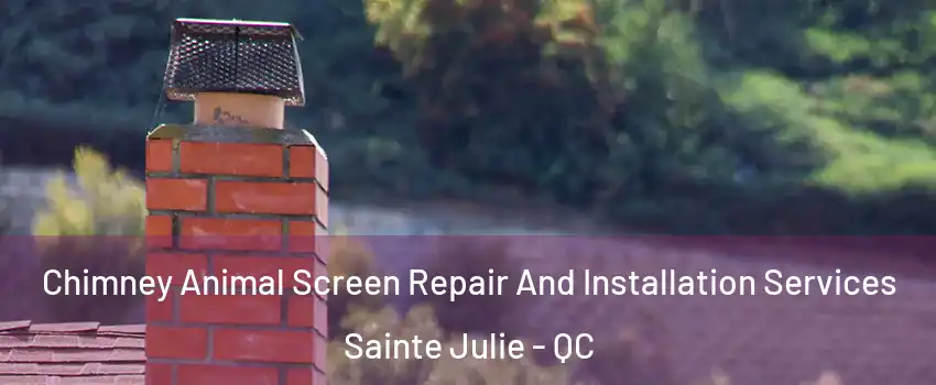  Chimney Animal Screen Repair And Installation Services Sainte Julie - QC