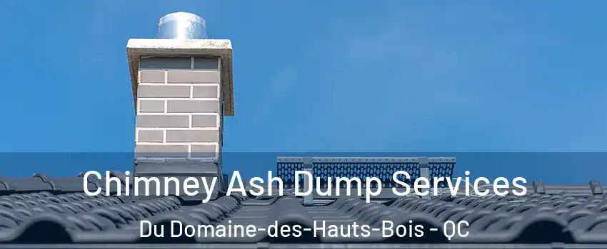  Chimney Ash Dump Services Du Domaine-des-Hauts-Bois - QC