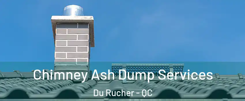  Chimney Ash Dump Services Du Rucher - QC
