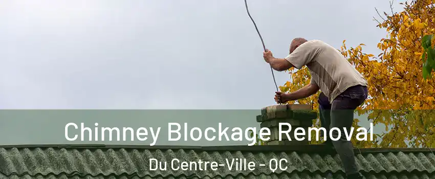  Chimney Blockage Removal Du Centre-Ville - QC
