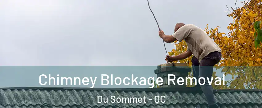 Chimney Blockage Removal Du Sommet - QC
