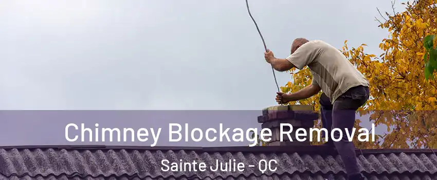  Chimney Blockage Removal Sainte Julie - QC