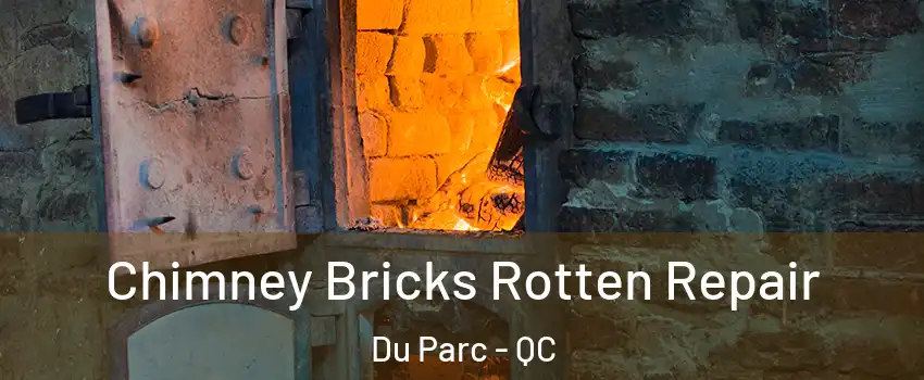  Chimney Bricks Rotten Repair Du Parc - QC