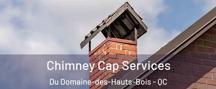  Chimney Cap Services Du Domaine-des-Hauts-Bois - QC