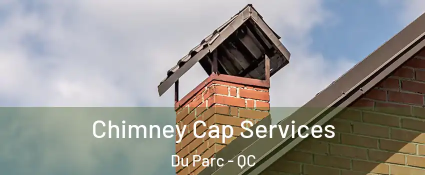  Chimney Cap Services Du Parc - QC