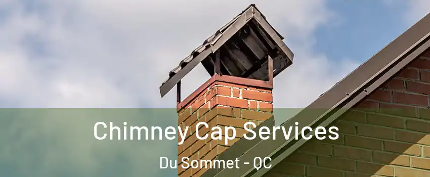  Chimney Cap Services Du Sommet - QC