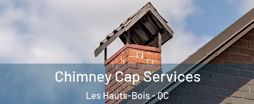  Chimney Cap Services Les Hauts-Bois - QC