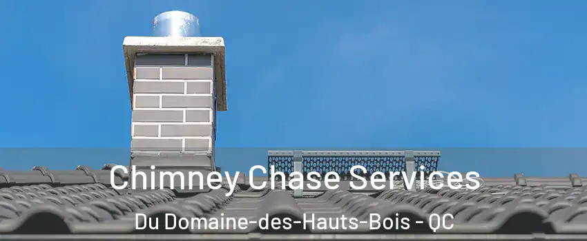  Chimney Chase Services Du Domaine-des-Hauts-Bois - QC