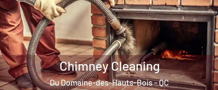  Chimney Cleaning Du Domaine-des-Hauts-Bois - QC
