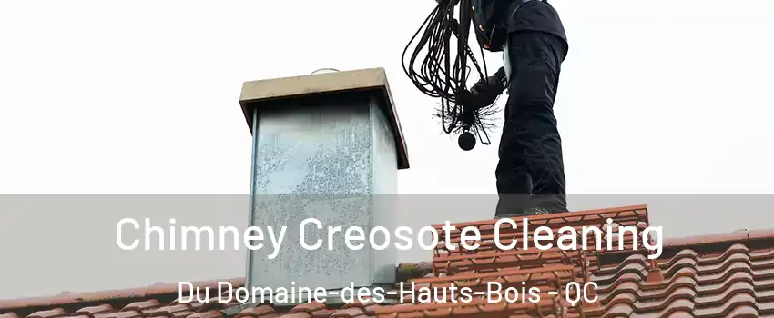  Chimney Creosote Cleaning Du Domaine-des-Hauts-Bois - QC