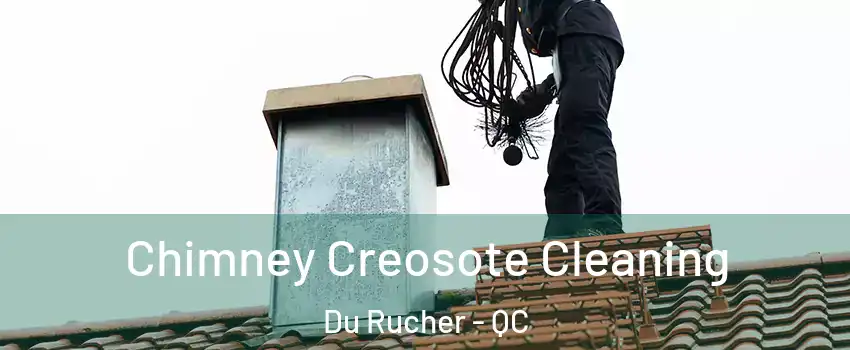  Chimney Creosote Cleaning Du Rucher - QC