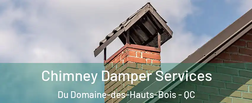  Chimney Damper Services Du Domaine-des-Hauts-Bois - QC