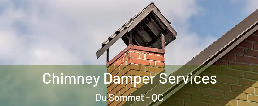  Chimney Damper Services Du Sommet - QC