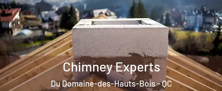  Chimney Experts Du Domaine-des-Hauts-Bois - QC