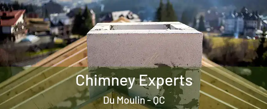  Chimney Experts Du Moulin - QC