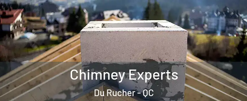  Chimney Experts Du Rucher - QC