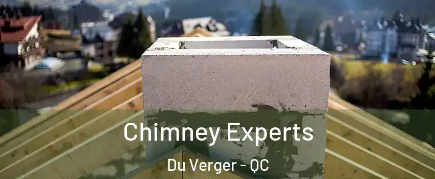  Chimney Experts Du Verger - QC