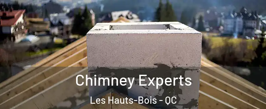  Chimney Experts Les Hauts-Bois - QC