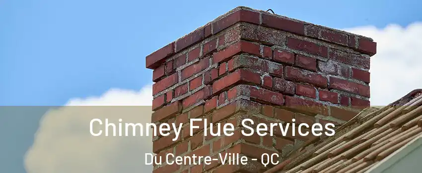  Chimney Flue Services Du Centre-Ville - QC