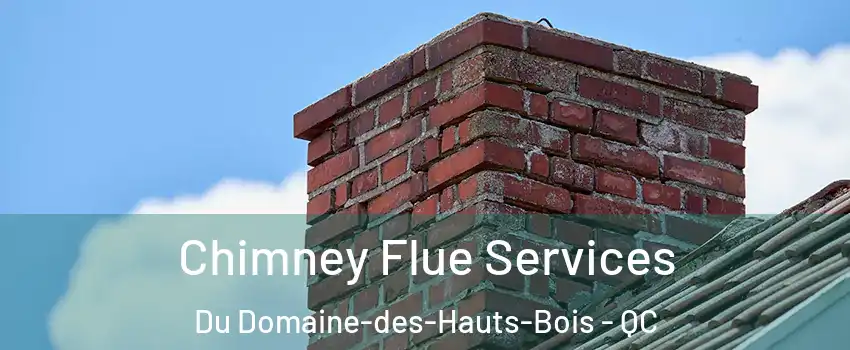  Chimney Flue Services Du Domaine-des-Hauts-Bois - QC