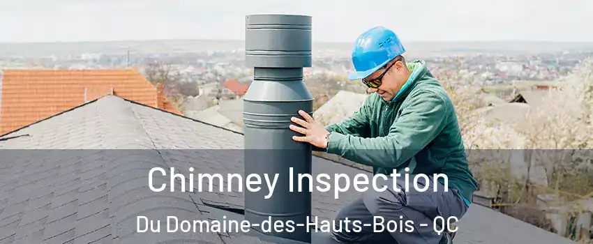  Chimney Inspection Du Domaine-des-Hauts-Bois - QC