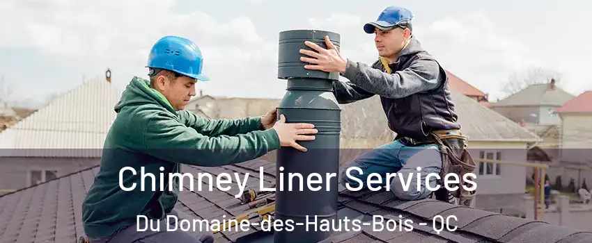  Chimney Liner Services Du Domaine-des-Hauts-Bois - QC