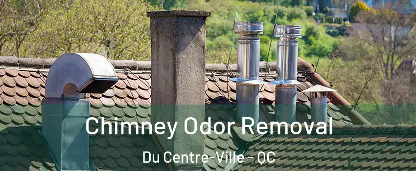  Chimney Odor Removal Du Centre-Ville - QC