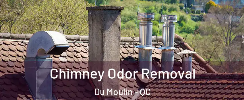  Chimney Odor Removal Du Moulin - QC