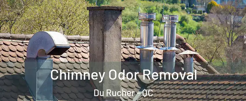  Chimney Odor Removal Du Rucher - QC