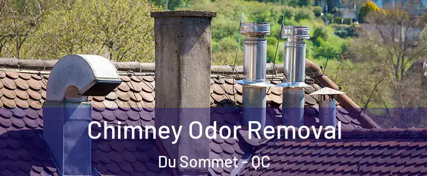  Chimney Odor Removal Du Sommet - QC