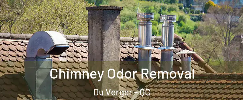  Chimney Odor Removal Du Verger - QC