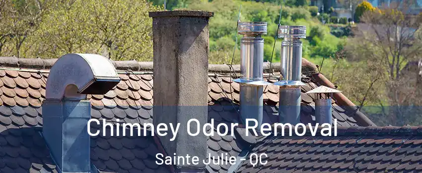  Chimney Odor Removal Sainte Julie - QC