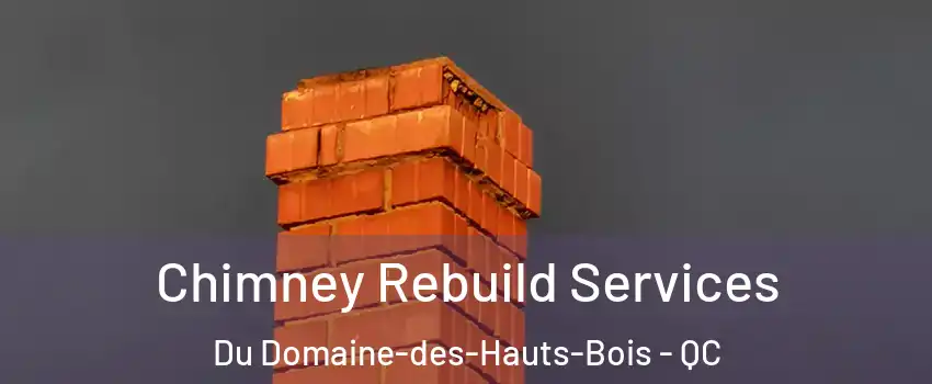  Chimney Rebuild Services Du Domaine-des-Hauts-Bois - QC