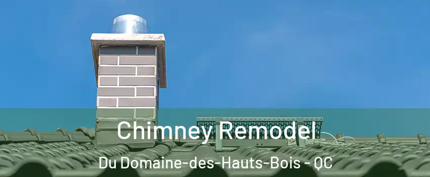 Chimney Remodel Du Domaine-des-Hauts-Bois - QC