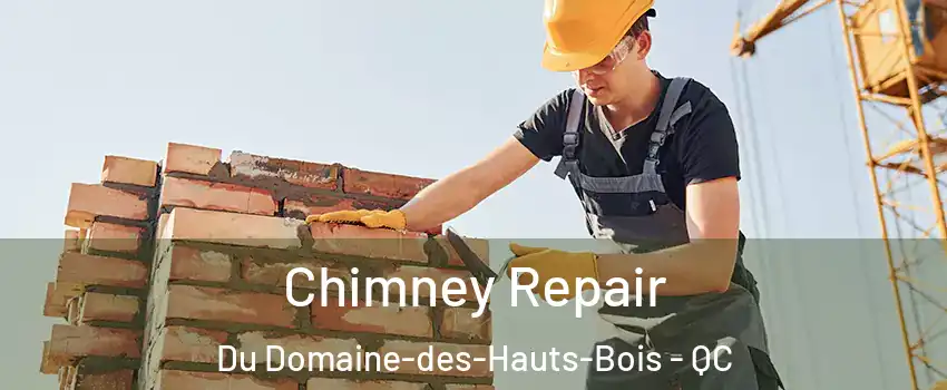  Chimney Repair Du Domaine-des-Hauts-Bois - QC