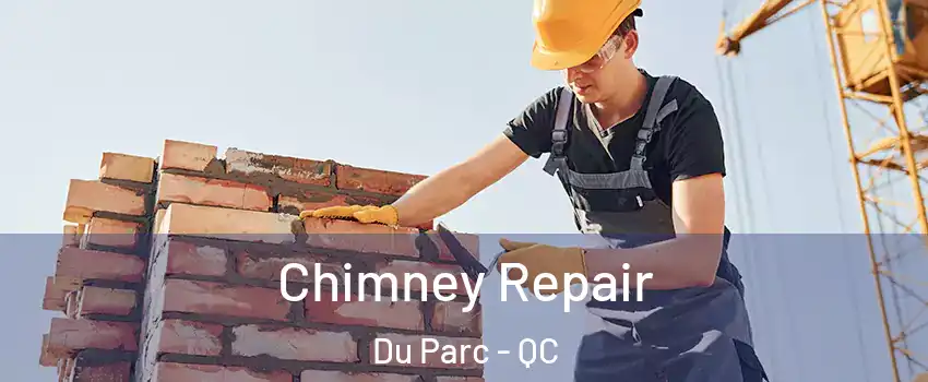  Chimney Repair Du Parc - QC