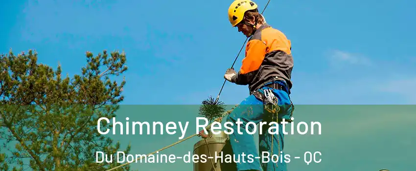  Chimney Restoration Du Domaine-des-Hauts-Bois - QC