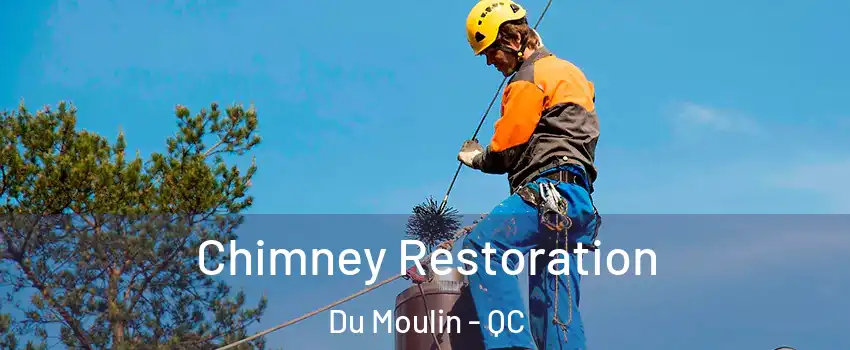  Chimney Restoration Du Moulin - QC